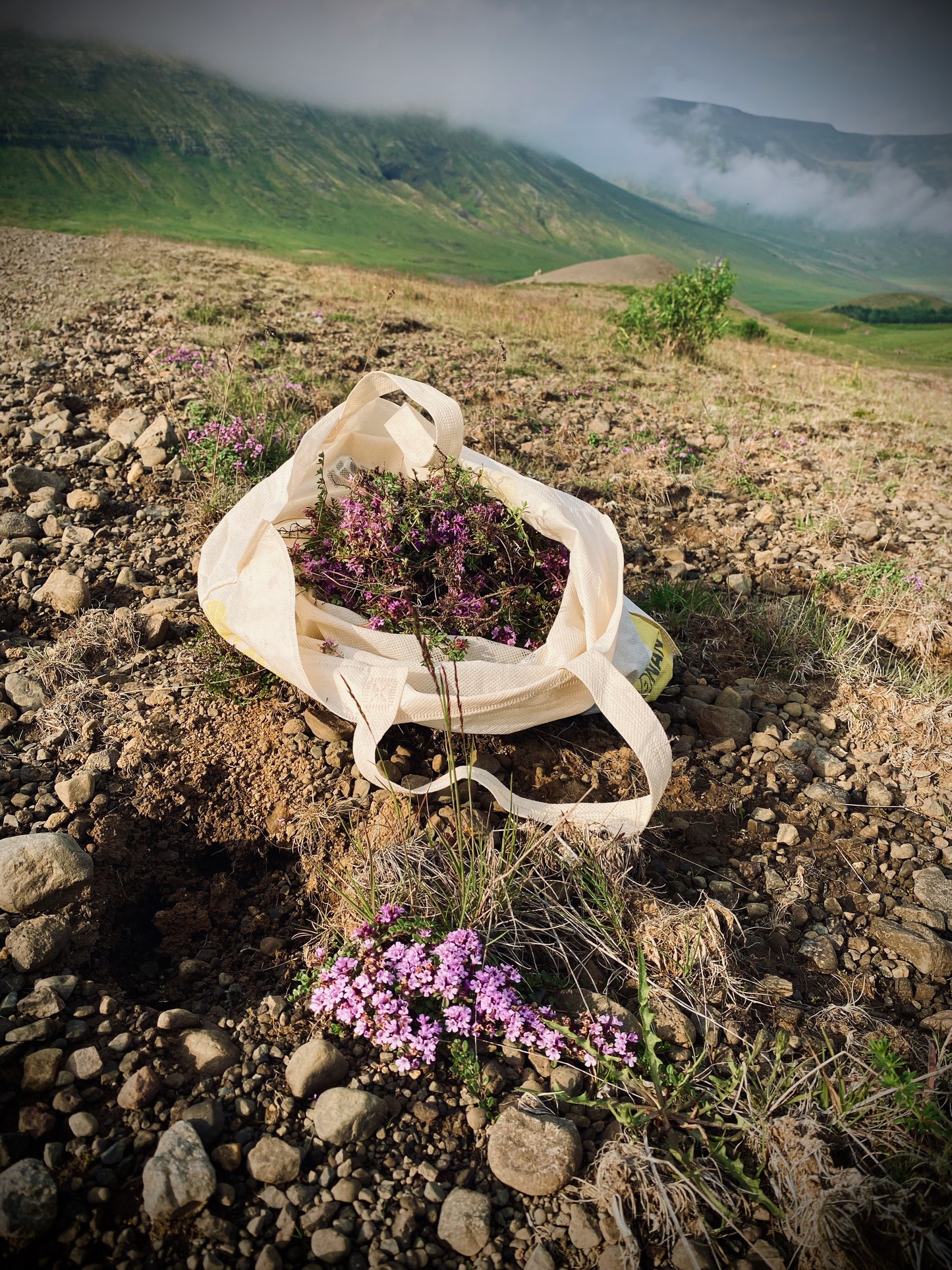 All-Natural (Icelandic) Perfume-Making Workshop (Gift Certificate Included)