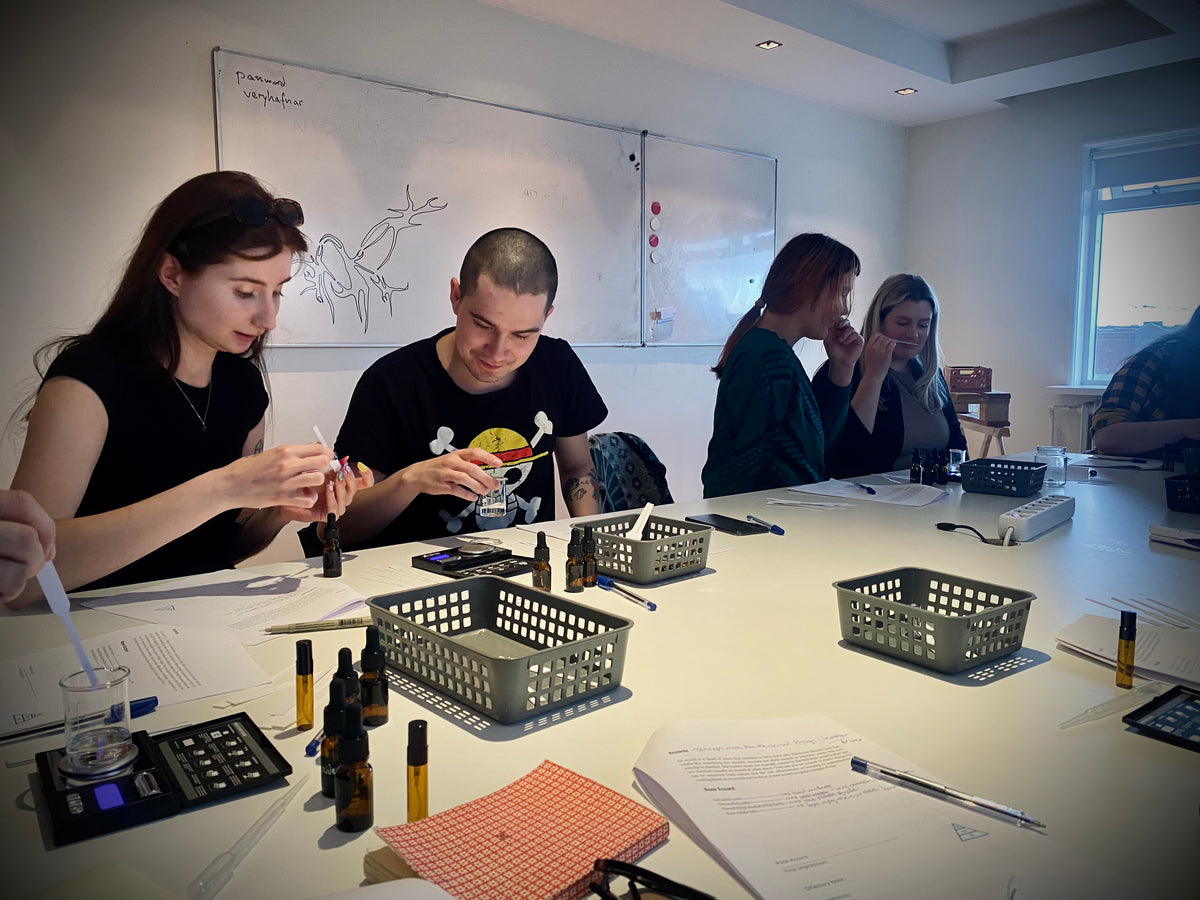 Group of participants creating natural fragrances at an Ilmur & Sjór perfume-making workshop in Reykjavík