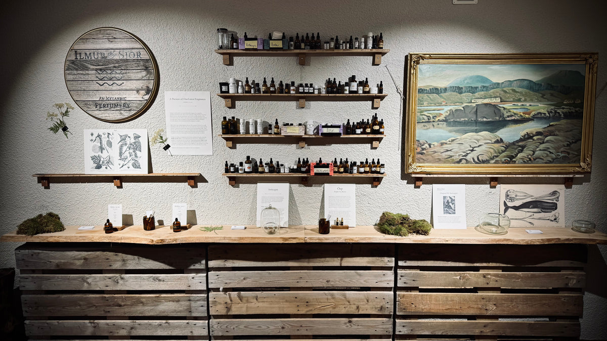 Ilmur & Sjór studio with fragrance shelves, wooden sign and Icelandic landscape painting
